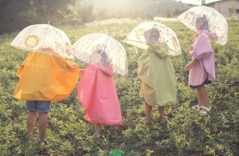 Parasol przeciwdeszczowy Lew SASSI