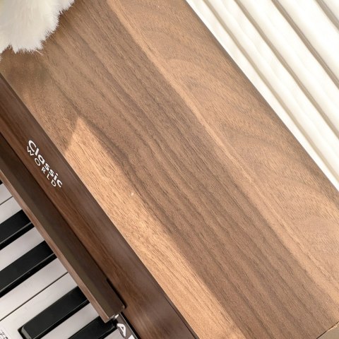CLASSIC WORLD Drewniane Pianino Klasyczne + Książeczka do Nauki