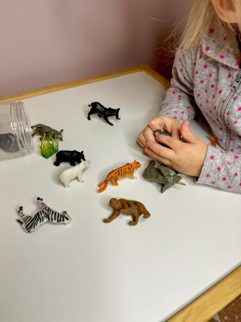 WOOPIE Zestaw Figurki Dzikie Zwierzęta 16 szt.